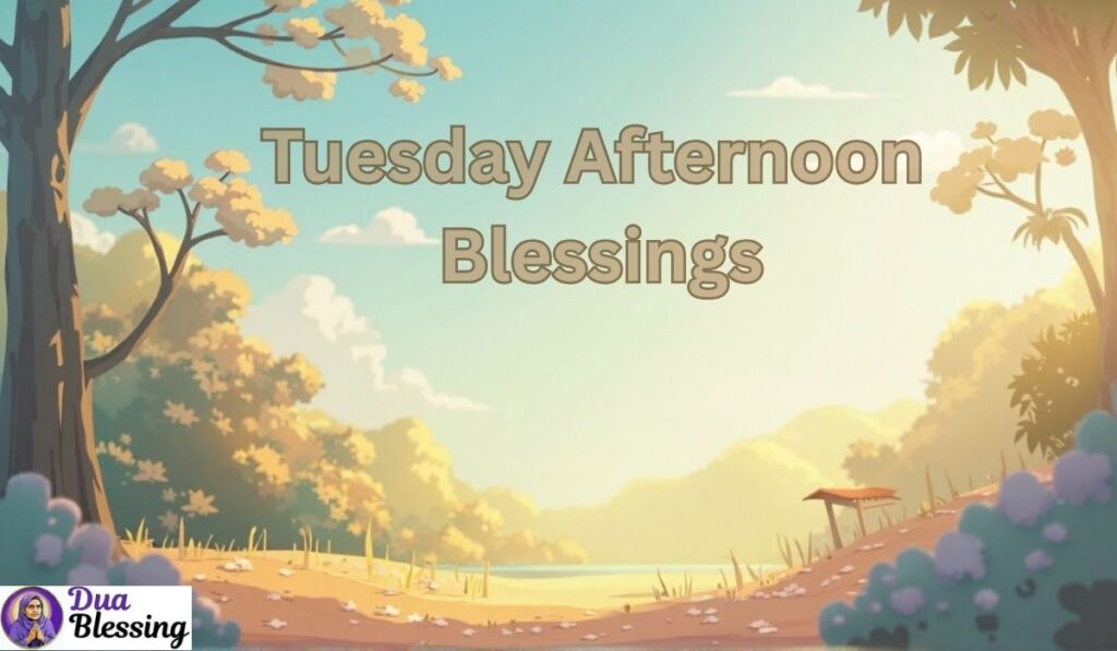Tuesday afternoon nature blessing.