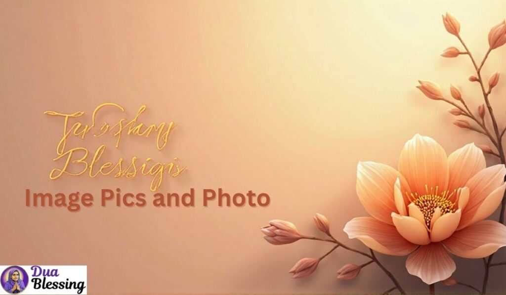 Tuesday blessings floral image.