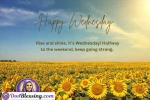 Wednesday Blessings