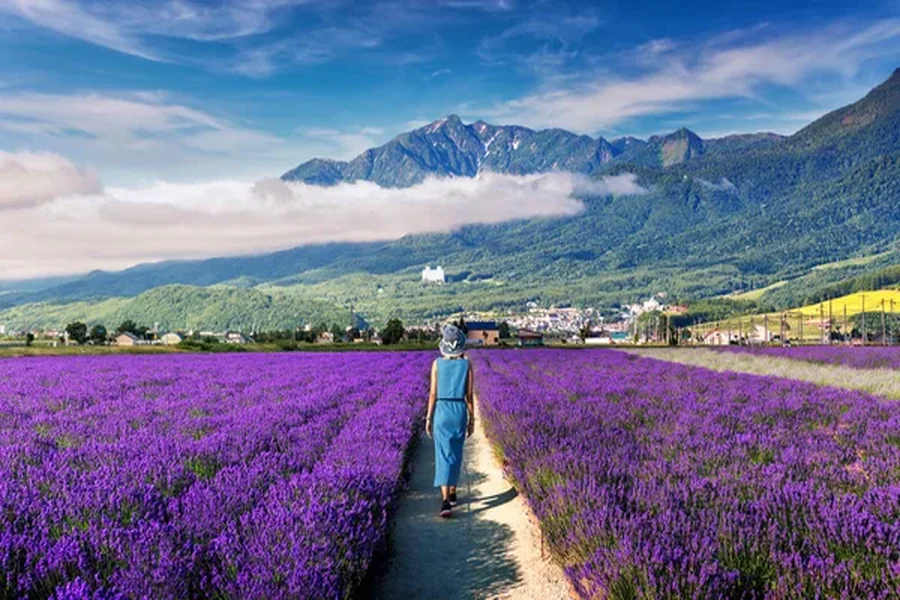 Hokkaido