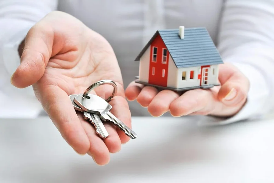 Equity Release Loans